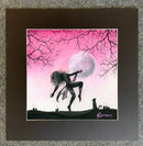 From the Shadows; Pink Moon, Worship 3 by Mark Braithwaite