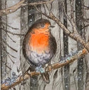Frosty Robin Print by Daisy