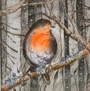 Frosty Robin Print by Daisy