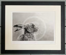 Gazing Hare by Nolon Stacey Framed in black