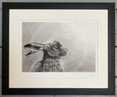 Gazing Hare by Nolon Stacey Framed in black