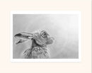 Gazing Hare by Nolon Stacey mounted