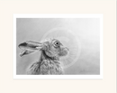 Gazing Hare by Nolon Stacey mounted
