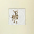 Gentle Jack by Hannah Dale