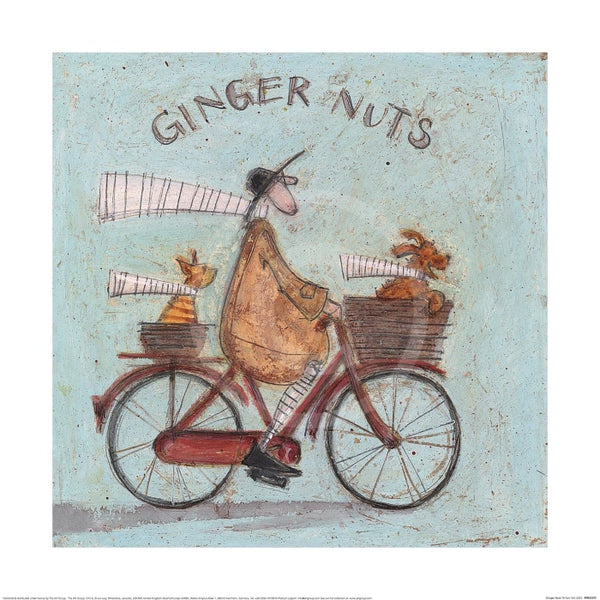 Ginger Nuts by Sam Toft