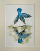 Gone Fishin’ Kingfisher, Limited Edition Print by Nicola Gillyon - 14 x 11’’ - Limited Edition Print
