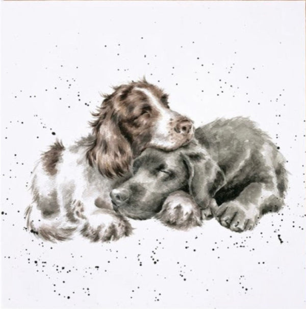 Growing Old Together by Hannah Dale, Dog Picture 