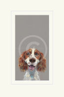 Happy Go Lucky by Nicky Litchfield