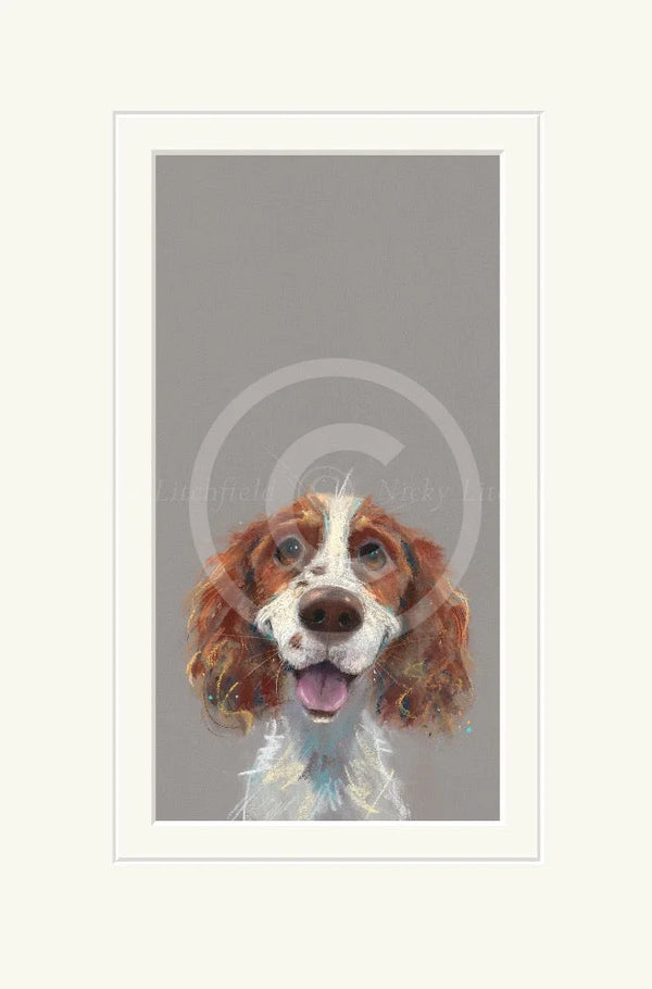 Happy Go Lucky by Nicky Litchfield