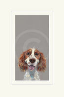 Happy Go Lucky by Nicky Litchfield