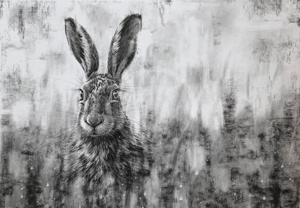 Hare In Grass By Nolon Stacey