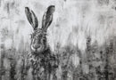 Hare In Grass By Nolon Stacey