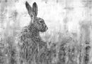 Hare In Grass II by Nolon Stacey