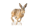 Hare We Go ( Running Hare) by Nicola Gillyon