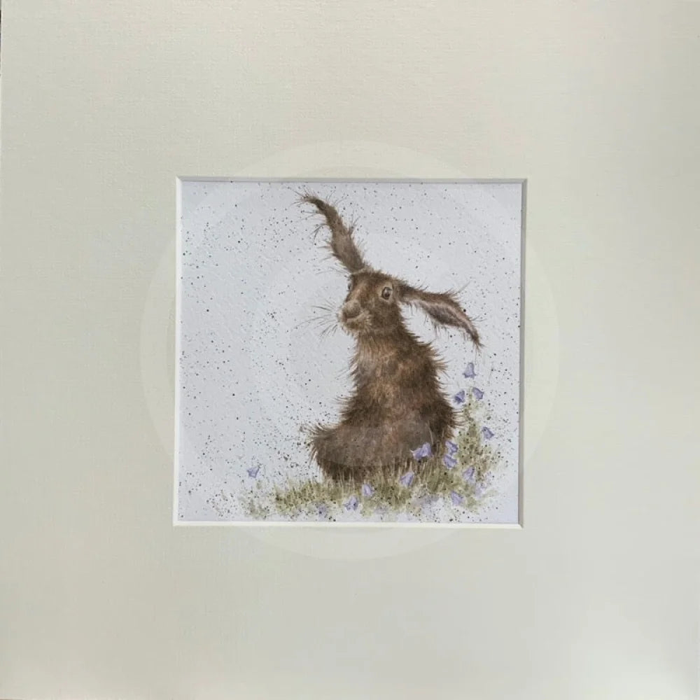 Harebells by Hannah Dale - Hare print