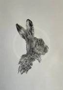 Harry Hare, Limited Edition Print by Nicola Gillyon - 14 x 11’’ - Limited Edition Print
