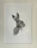 Harry Hare, Limited Edition Print by Nicola Gillyon - 14 x 11’’ - Limited Edition Print