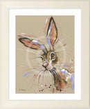 Harvey Hare Framed Print By Ashley Saunders Art