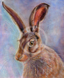 Hazel The Hare By Julie Springall
