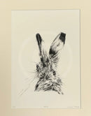 Hetty, Limited Edition Print by Nicola Gillyon - 14 x 11’’ - Limited Edition Print