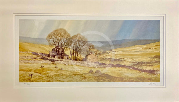 High in the Yorkshire Pennines LIMITED EDITION by Terry Logan