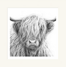 Highland Cow V by Nolon Stacey (square) mounted