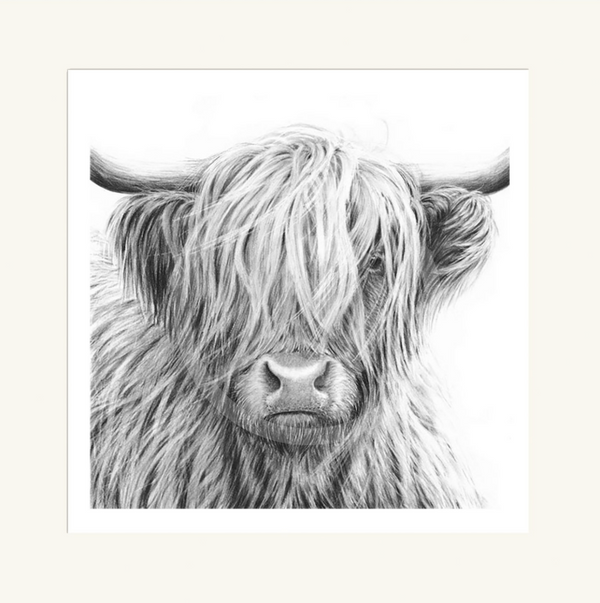 Highland Cow V by Nolon Stacey (square)