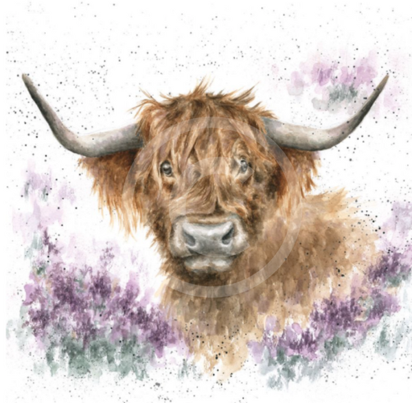 Highland Heathers by Hannah Dale