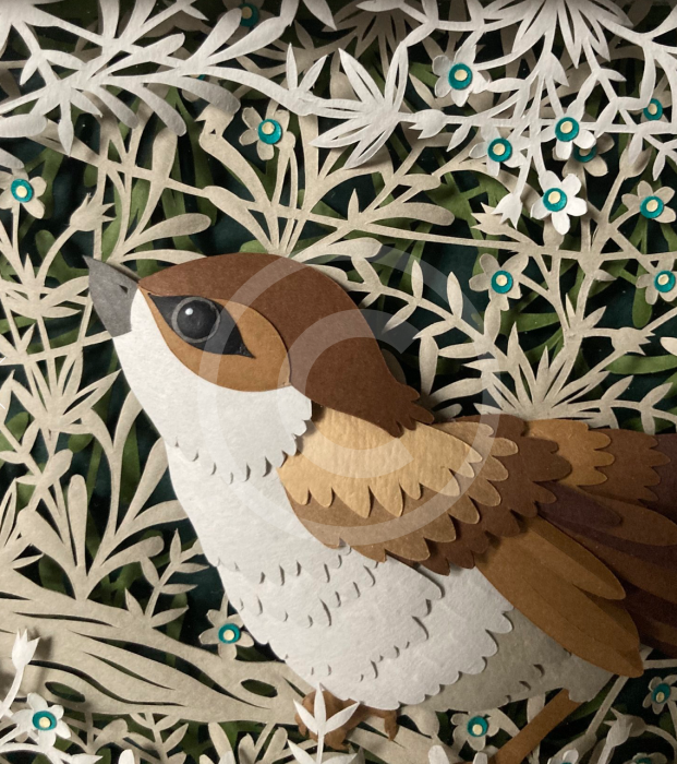 House Sparrow Original Paper Cut By Anna Cook Papercut