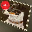 Jack, Limited Edition Print by Kay Johns
