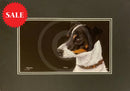 Jack, Limited Edition Print by Kay Johns
