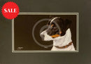 Jack, Limited Edition Print by Kay Johns