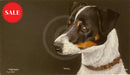 Jack, Limited Edition Print by Kay Johns