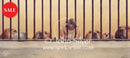 Jailhouse Rock By John Silver