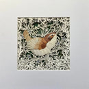 Jenny Wren, Giclée Print by Anna Cook