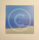  landscape with a small orange moon over a blue sky and sandy foreground.