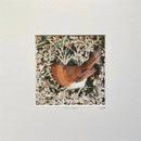 Jolly Robin, Giclée Print of a Robin by Anna Cook