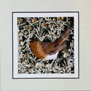 Jolly Robin, Miniature Giclée Print of a Robin by Anna Cook