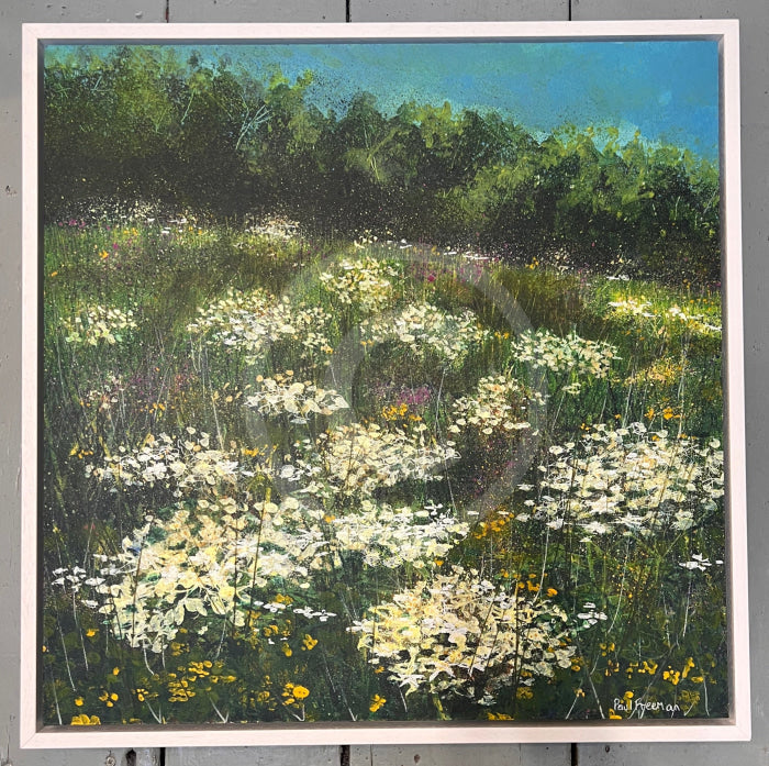 June Meadow by Paul Freeman
