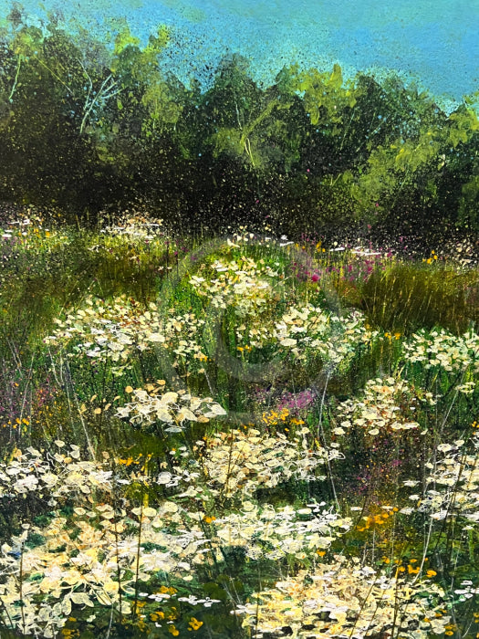 Detail image, June Meadow by Paul Freeman