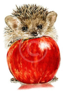 Just A Nibble (Hedgehog) By Nicola Gillyon