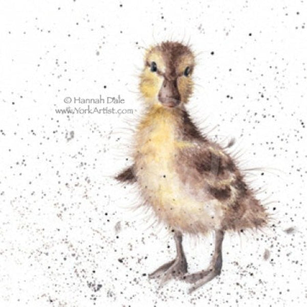 Just Hatched By Hannah Dale