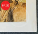Kenyan Lioness, Limited Edition Wildlife Big Cat Print by Lyndsey Selley