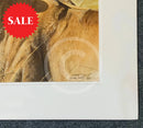 Kenyan Lioness, Limited Edition Wildlife Big Cat Print by Lyndsey Selley