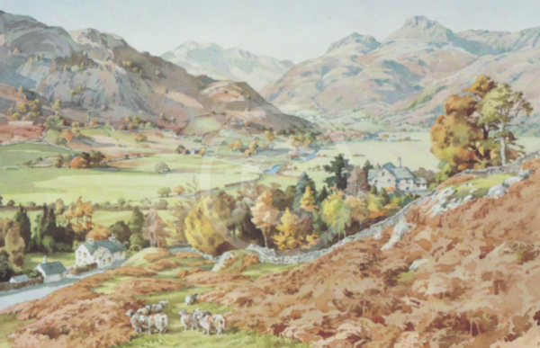 Langdale Pikes by Judy Boyes