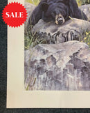 Lazy Days Bear, Limited Edition Wildlife Bear Print by Lyndsey Selley