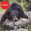 Lazy Days Bear, Limited Edition Wildlife Bear Print by Lyndsey Selley