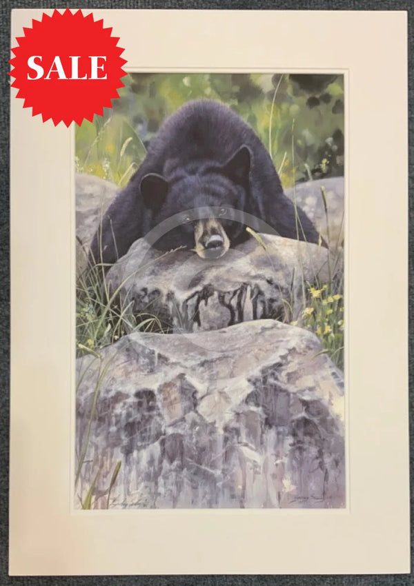 Lazy Days Bear, Limited Edition Wildlife Bear Print by Lyndsey Selley