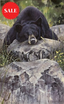 Lazy Days Bear, Limited Edition Wildlife Bear Print by Lyndsey Selley