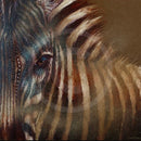 Lines of Sight Zebra Print by Amanda Stratford 
